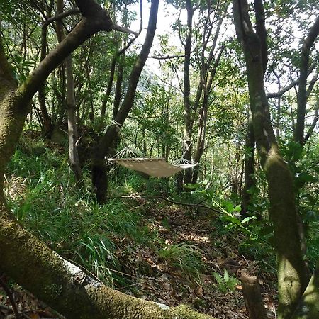 Nature Inn Madeira - Glamping Porto Moniz Eksteriør bilde