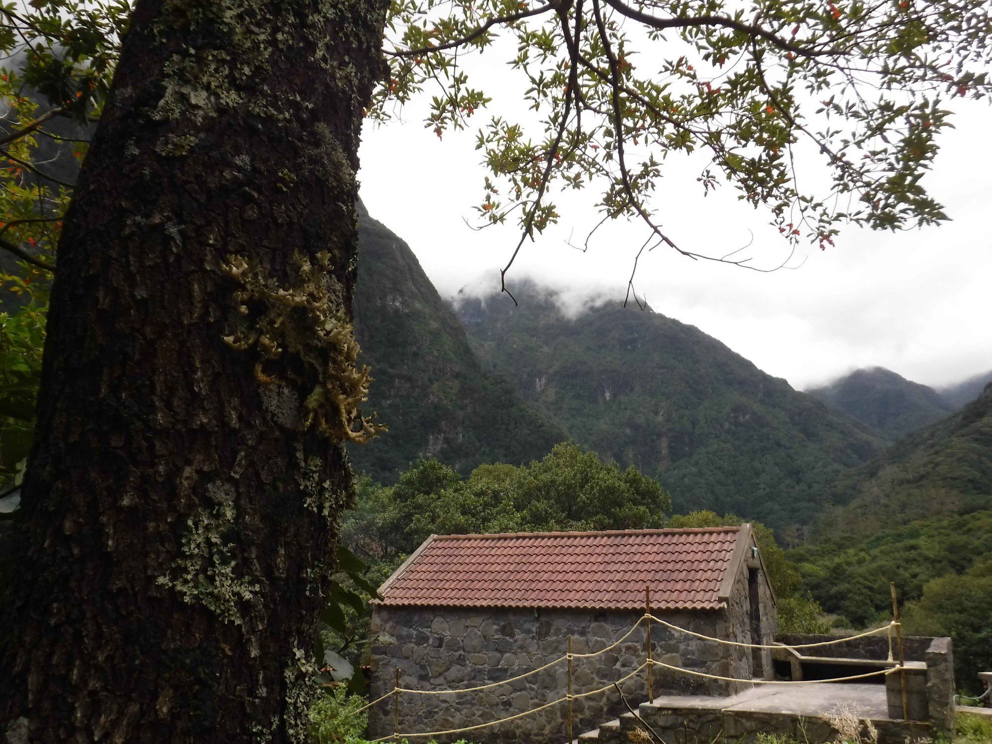 Nature Inn Madeira - Glamping Porto Moniz Eksteriør bilde